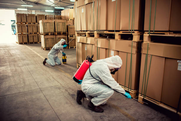 Best Cockroach Control Services  in Cape St Claire, MD