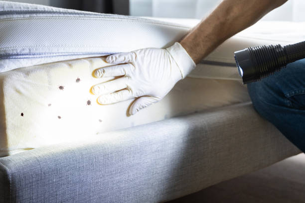 Best Bed Bug Extermination  in Cape St Claire, MD